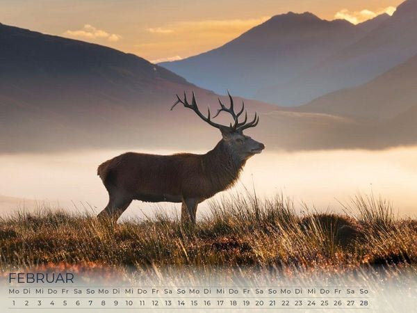 Produktbild: Faszination Schottland Kalender 2027