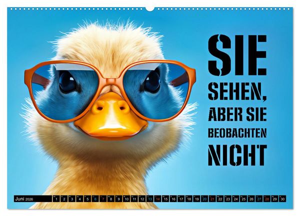Produktbild: BRILLEN - coole Spr&uuml;che (Wandkalender 2026 DIN A2 quer), CALVENDO Monatskalender