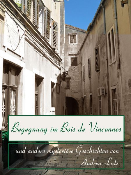 Produktbild: Begegnung im Bois de Vincennes