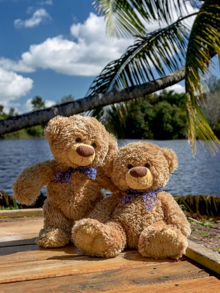 Produktbild: CALVENDO Puzzle Travelling Teddy in Kuba | 1000 Teile Lege-Gr&ouml;&szlig;e 64x48cm Foto-Puzzle f&uuml;r gl&uuml;ckliche Stunden