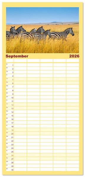 Produktbild: Familienplaner 2026 - Zebras - Die gestreiften Vierbeiner. mit 5 Spalten (Wandkalender, 21 x 45 cm) CALVENDO