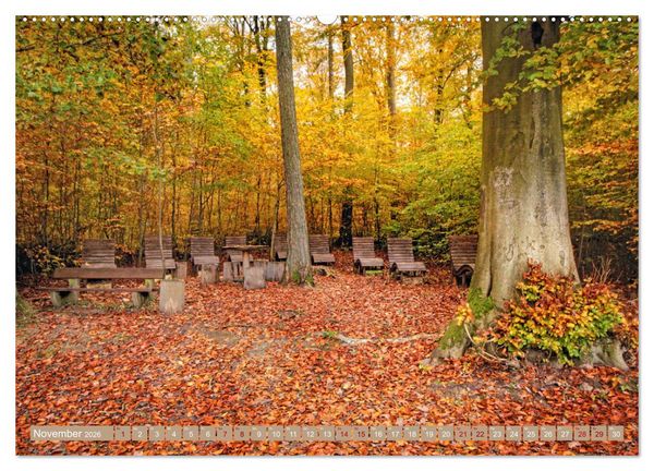 Produktbild: Der Wald - Ort der Ruhe und Besinnung (Wandkalender 2026 DIN A2 quer), CALVENDO Monatskalender