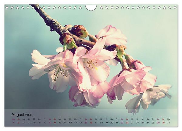 Produktbild: Bl&uuml;tenrausch - Mit Fr&uuml;hlingsgef&uuml;hlen durchs ganze Jahr (Wandkalender 2026 DIN A4 quer), CALVENDO Monatskalender