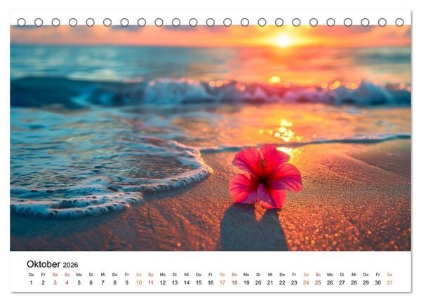 Produktbild: Mein Strand - ein Traum (Tischkalender 2026 DIN A5 quer), CALVENDO Monatskalender