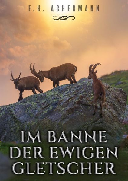 Produktbild: Im Banne der ewigen Gletscher