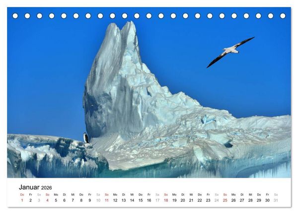 Produktbild: Im Reich der Pinguine (Tischkalender 2026 DIN A5 quer), CALVENDO Monatskalender
