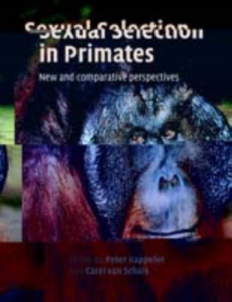 Produktbild: Sexual Selection in Primates