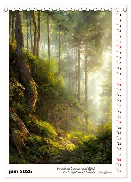 Produktbild: Chemins de fantaisie (Calendrier de bureau 2026 DIN A5 horizontal), CALVENDO calendrier mensuel