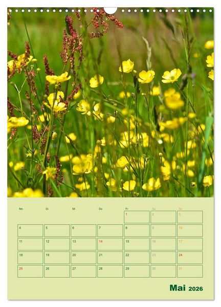 Produktbild: Wald- und Wiesenkalender 2026 Planer (Wandkalender 2026 DIN A3 hoch), CALVENDO Monatskalender