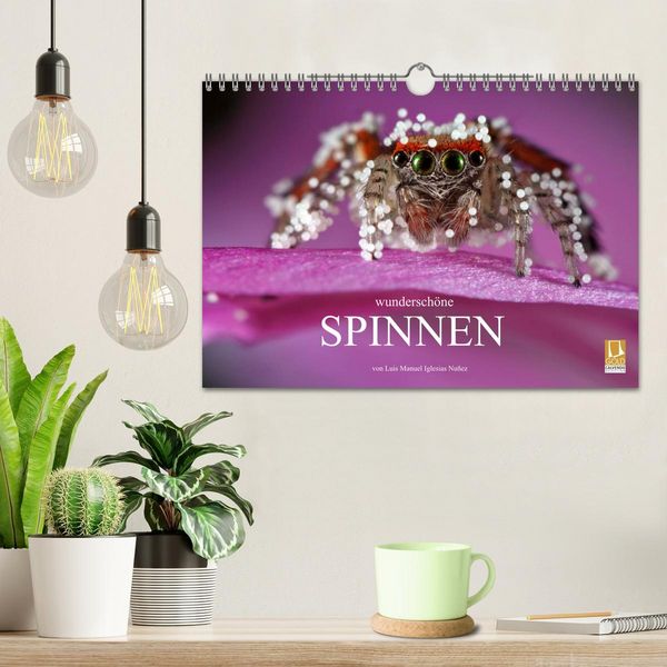Produktbild: Wundersch&ouml;ne Spinnen (Wandkalender 2026 DIN A4 quer), CALVENDO Monatskalender