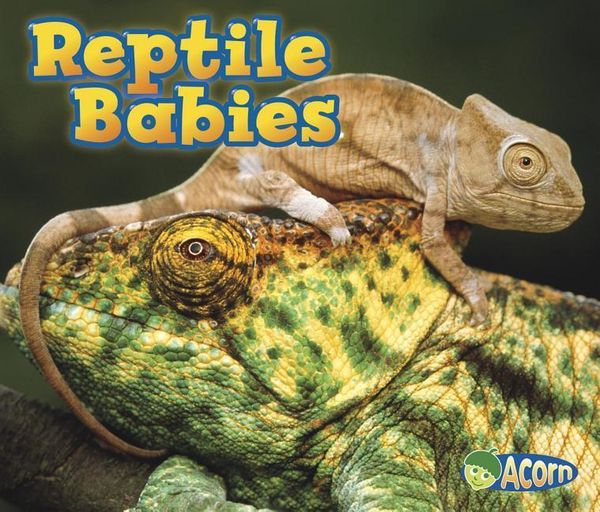 Produktbild: Reptile Babies