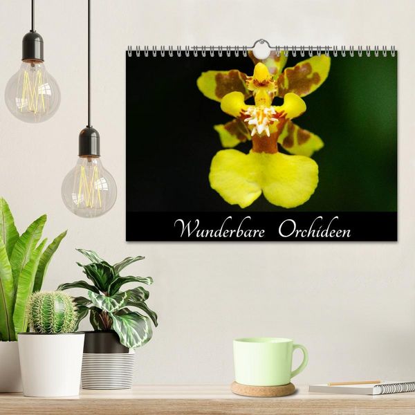 Produktbild: Wunderbare Orchideen (Wandkalender 2027 DIN A4 quer), CALVENDO Monatskalender