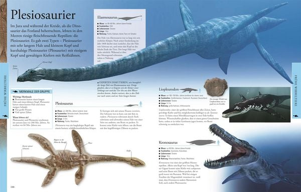 Wissen für clevere Kids. Dinosaurier und andere Tiere der Urzeit für clevere Kids