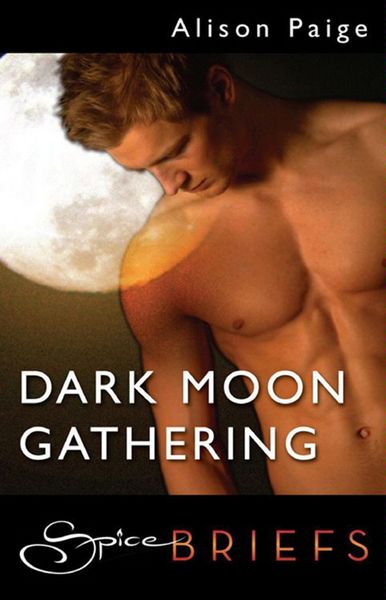 Produktbild: Dark Moon Gathering