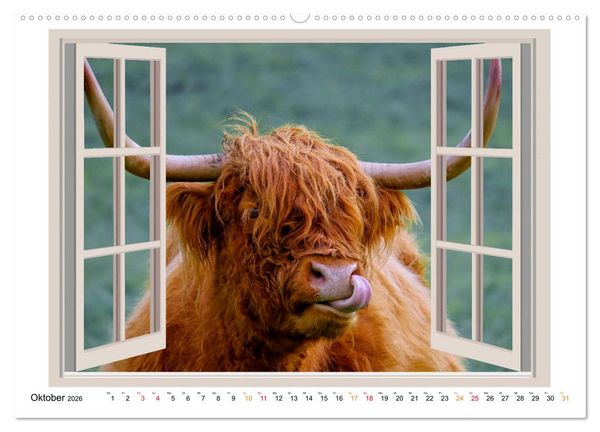 Produktbild: Fenstergucker - tierische Freunde an der Wand (Wandkalender 2026 DIN A2 quer), CALVENDO Monatskalender