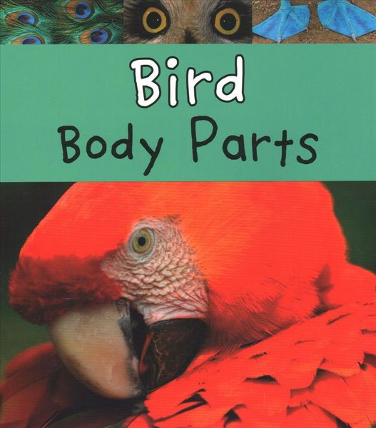 Produktbild: Bird Body Parts
