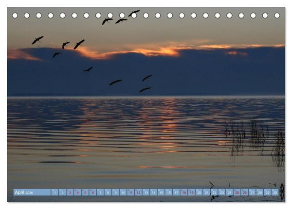 Produktbild: Stralsund und die Boddenlandschaft (Tischkalender 2026 DIN A5 quer), CALVENDO Monatskalender