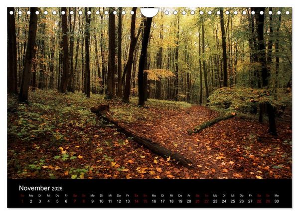 Produktbild: Wundersame Natur in Deutschland (Wandkalender 2026 DIN A4 quer), CALVENDO Monatskalender