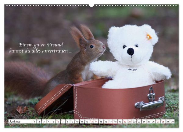 Produktbild: Tipps von Eichh&ouml;rnchen an Eichh&ouml;rnchenliebhaber (hochwertiger Premium Wandkalender 2026 DIN A2 quer), Kunstdruck in Hochglanz