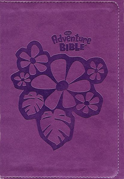 Produktbild: Adventure Bible for Early Readers-NIRV