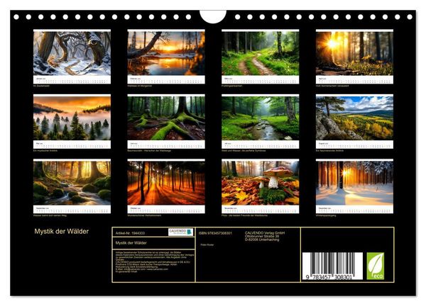 Produktbild: Mystik der W&auml;lder (Wandkalender 2026 DIN A4 quer), CALVENDO Monatskalender