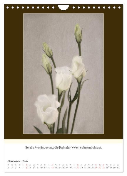 Produktbild: Der Buddhistische Weisheiten Kalender (Wandkalender 2026 DIN A4 hoch), CALVENDO Monatskalender