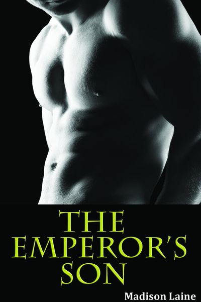 Produktbild: The Emperor's Son (First Time Gay Erotica)