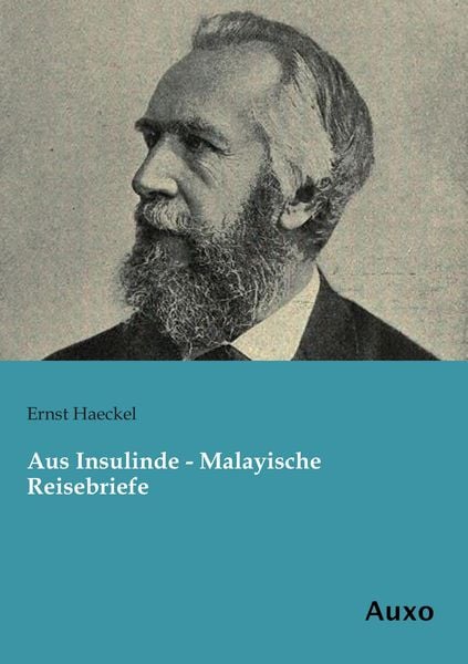 Produktbild: Aus Insulinde - Malayische Reisebriefe