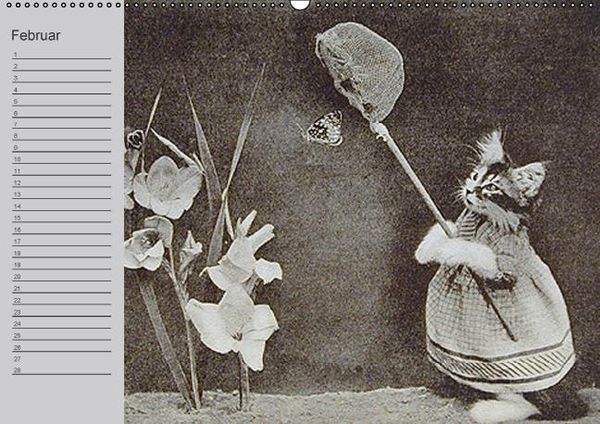 Produktbild: Katzen und Hunde - Nostalgie auf Pfoten (Wandkalender immerw&auml;hrend DIN A2 quer)