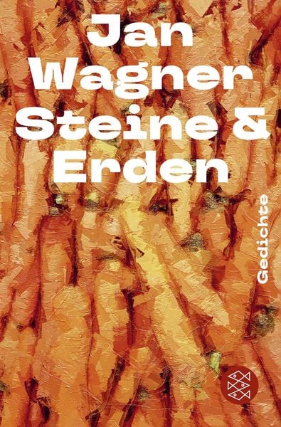 Steine & Erden, Taschenbuch von Jan Wagner, Fischer Taschenbuch Verlag, 9783596711406