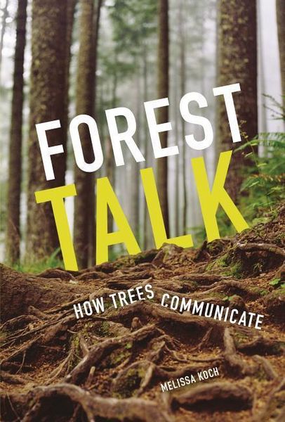 Produktbild: Forest Talk