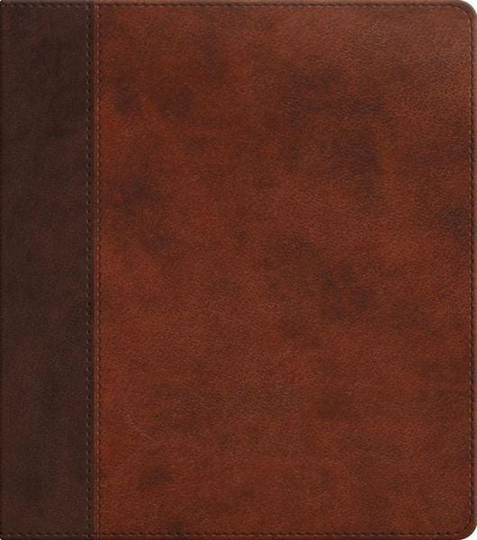 Produktbild: ESV Journaling Study Bible (TruTone, Brown/Chestnut, Timeless Design)
