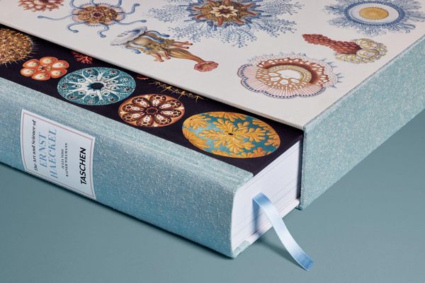 Produktbild: The Art and Science of Ernst Haeckel