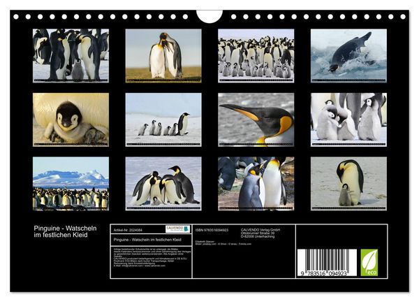 Produktbild: Pinguine - Watscheln im festlichen Kleid (Wandkalender 2026 DIN A4 quer), CALVENDO Monatskalender
