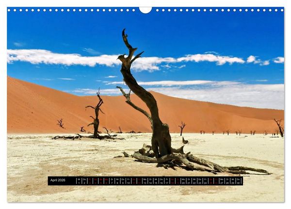 Produktbild: Afrika - Vielfalt in Flora und Fauna (Wandkalender 2026 DIN A3 quer), CALVENDO Monatskalender