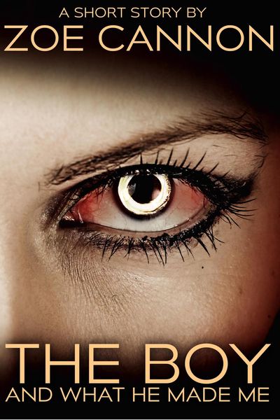 Produktbild: The Boy and What He Made Me