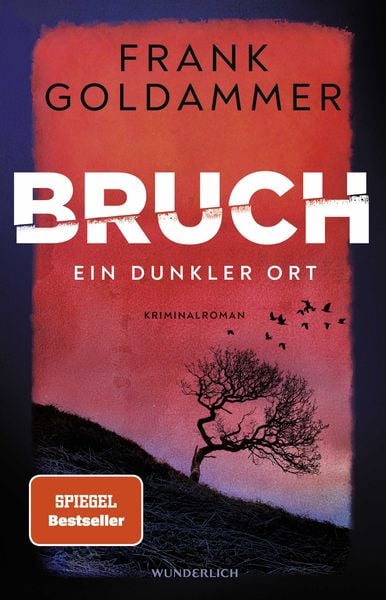 Bruch: Ein dunkler Ort, Taschenbuch von Frank Goldammer, ROWOHLT Wunderlich