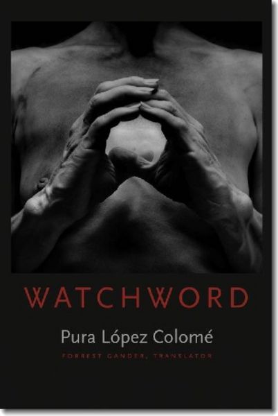 Produktbild: Watchword