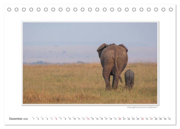 Produktbild: Emotionale Momente: Aus dem Leben der Elefanten. / CH-Version (Tischkalender 2026 DIN A5 quer), CALVENDO Monatskalender