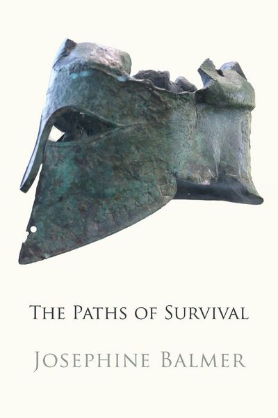 Produktbild: The Paths of Survival
