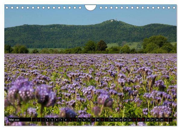 Produktbild: Rund um die Teck (Wandkalender 2026 DIN A4 quer), CALVENDO Monatskalender