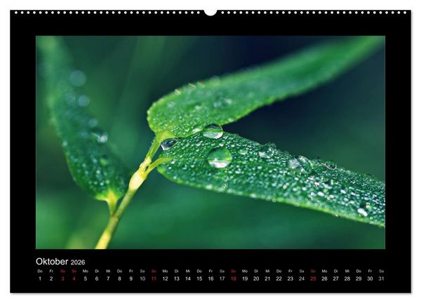 Produktbild: Meine kleine gr&uuml;ne Wassertropfen Welt (hochwertiger Premium Wandkalender 2026 DIN A2 quer), Kunstdruck in Hochglanz