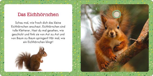 Produktbild: Soundbuch f&uuml;r Klitzekleine &ndash; Lieblingstiere