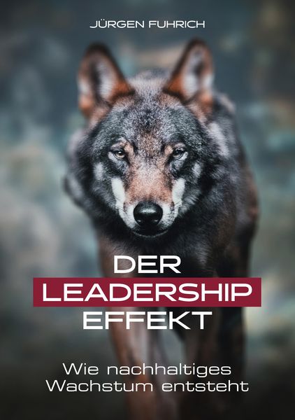 Produktbild: Der Leadership Effekt