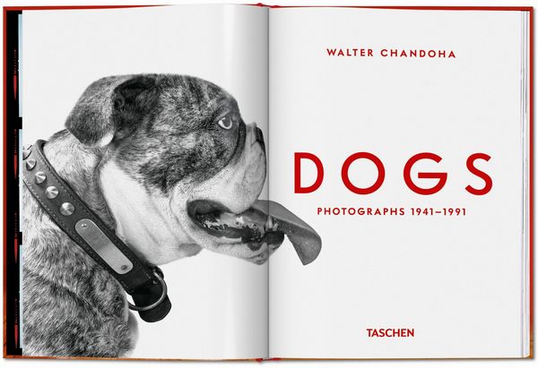 Produktbild: Walter Chandoha. Dogs. Photographs 1941&ndash;1991