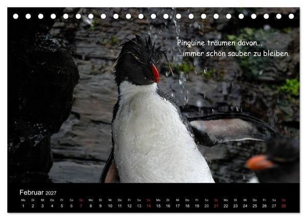 Produktbild: Wovon Pinguine tr&auml;umen (Tischkalender 2027 DIN A5 quer), CALVENDO Monatskalender