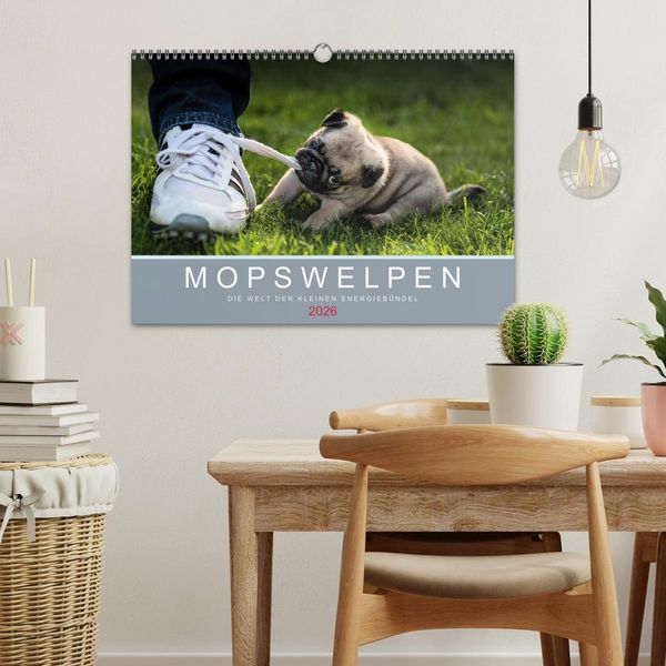 Produktbild: Mopswelpen (Wandkalender 2026 DIN A3 quer), CALVENDO Monatskalender