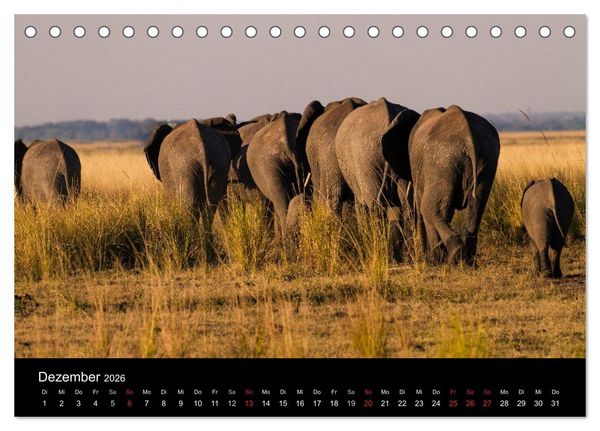 Produktbild: Elefanten - Die sanften Riesen Afrikas (Tischkalender 2026 DIN A5 quer), CALVENDO Monatskalender