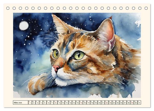Produktbild: Samtpfoten im Portrait (Tischkalender 2026 DIN A5 quer), CALVENDO Monatskalender
