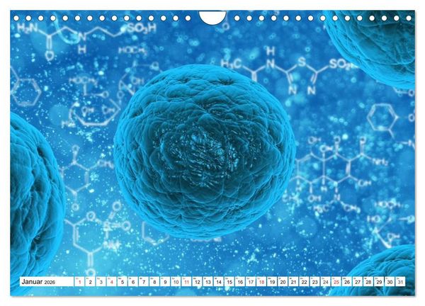Produktbild: Mikrobiologie. Mikroorganismen, Genetik und Zellen (Wandkalender 2026 DIN A4 quer), CALVENDO Monatskalender